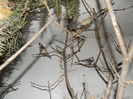 DSCN0180
