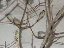 DSCN0186
