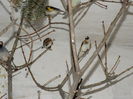 DSCN0187