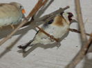 DSCN0193