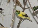 DSCN0205