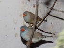 DSCN0215