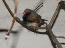 DSCN0220