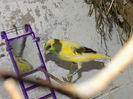 DSCN0224
