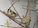 DSCN0226