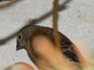 DSCN0232
