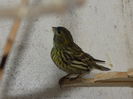 DSCN0235