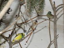 DSCN0237