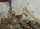 DSCN0253