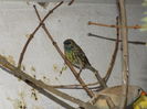DSCN0256