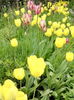 IMG_20160502_132643