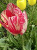 IMG_20160502_132852
