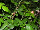 DSCN7612