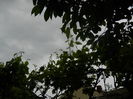 DSCN7614
