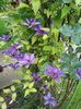 20160505_154520