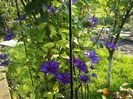 20160506_075344