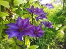 20160506_075418