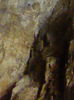 P1030798