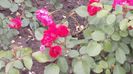 20160429_151805