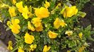 20160429_151939
