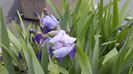 20160429_152043