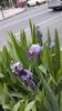 20160429_152048