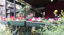 20160429_152353