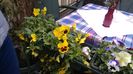 20160429_153307