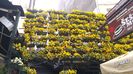 20160429_153310