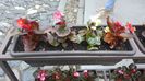 20160429_153353