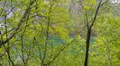 20160501_113902