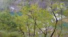 20160501_114332
