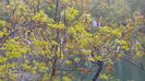20160501_134704