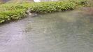 20160501_142018