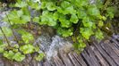 20160501_143055