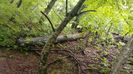 20160501_143534