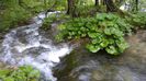 20160501_144809