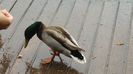 20160501_145703