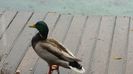 20160501_145708