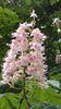 20160502_085329