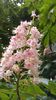 20160502_085351