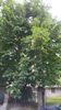 20160502_085403