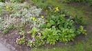 20160502_100027
