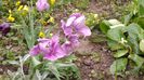 20160502_100041