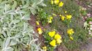 20160502_100051