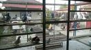 WP_20160406_19_03_13_Pro