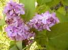 P1250122