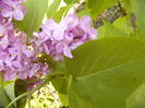 P1250123
