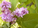 P1250124