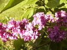 P1250126